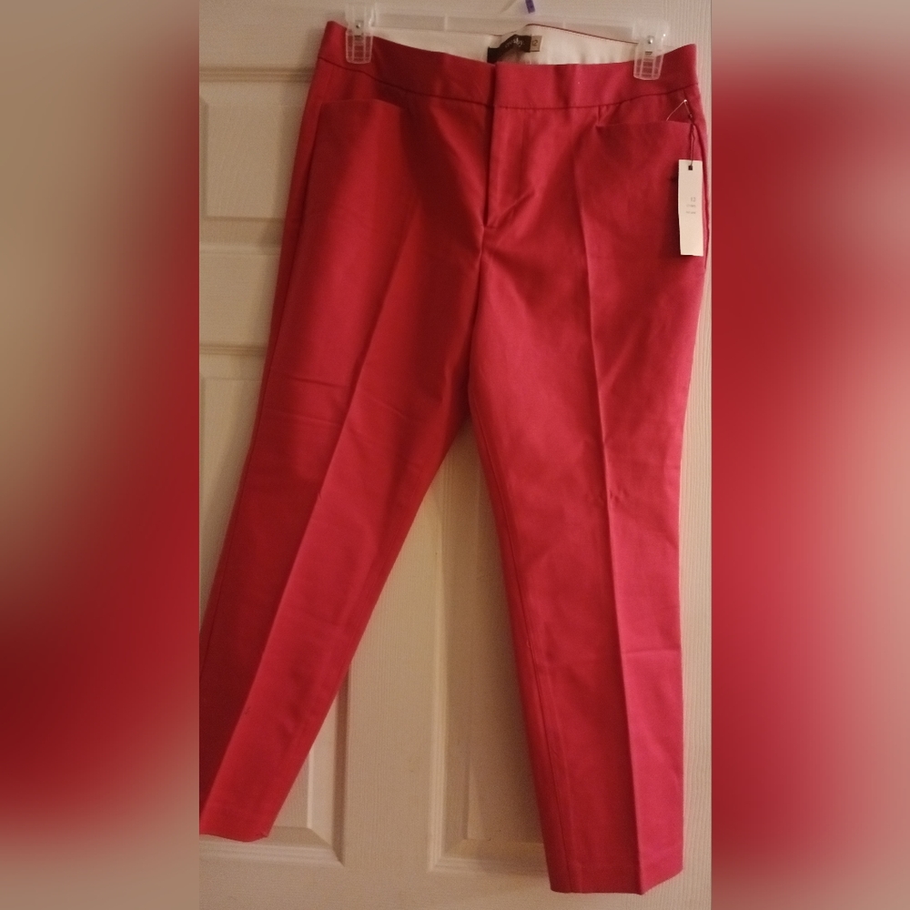 Pant